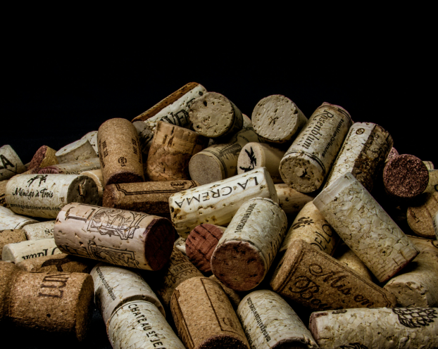 David brooke martin vuz9u7cwqc8 unsplash 1